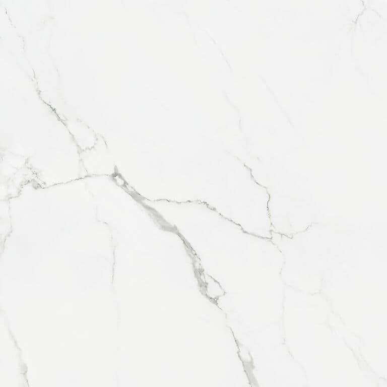 #PGVS-B816 CALACATTA Oro 60x60 rett 2