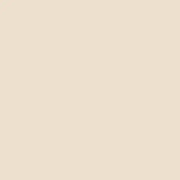 #3316 PLAY BEIGE R. 60X60X1.4 2