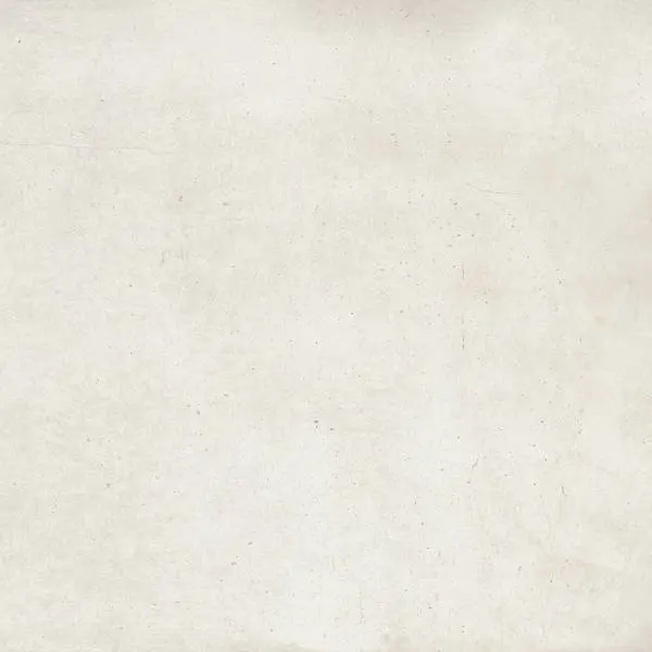 PLAIN MIST R. 30X60M 1
