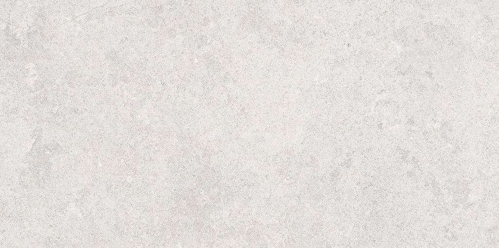 #CSN-181 PONTINO light grey matt rett A2D 60x120 2